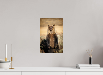 10 x 15″, Metal "Grin & Grizzly" - Grizzly Bear