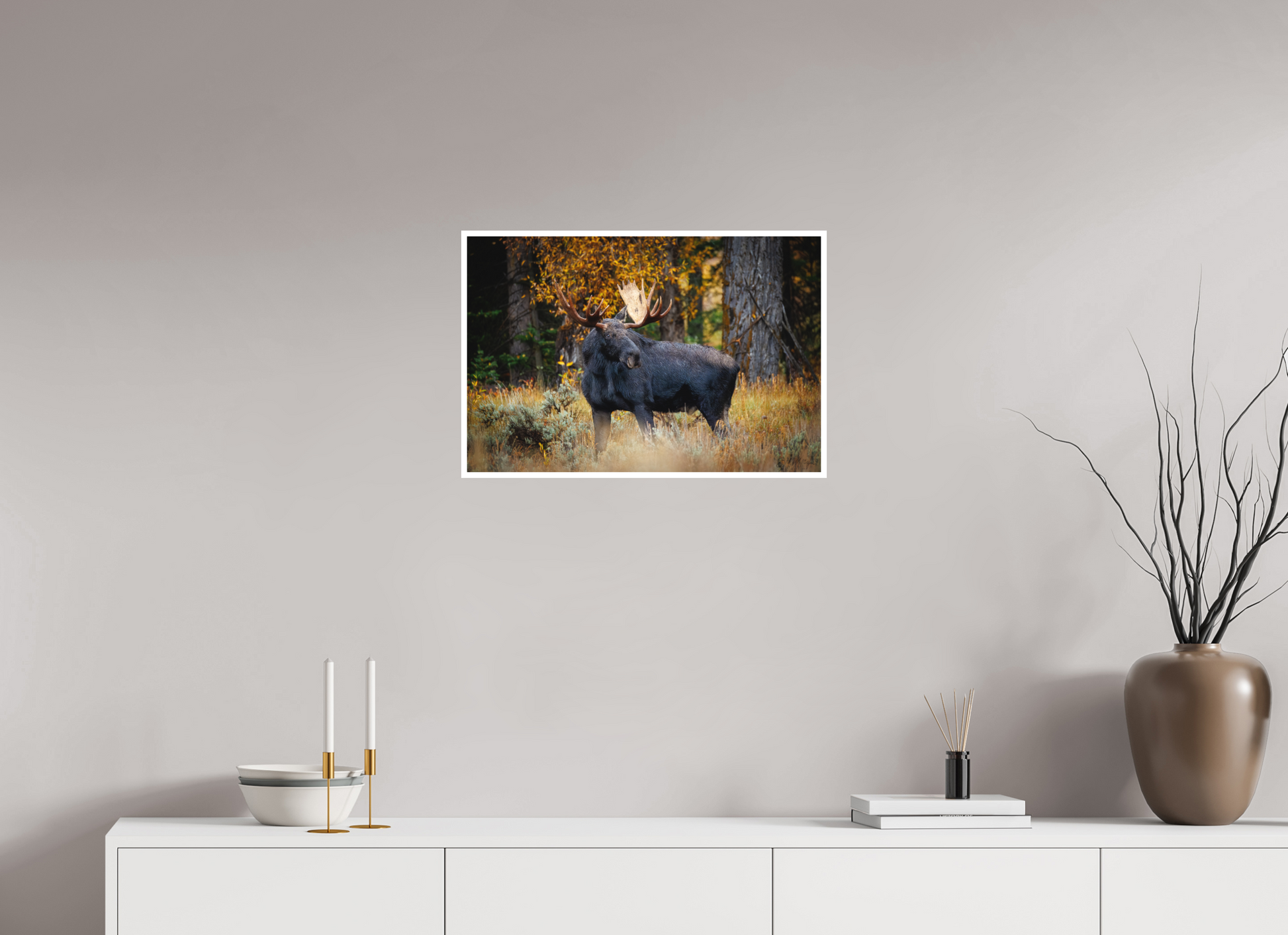 24 x 16″, Fine art print "Guardian of the Gros Ventre" - Bull moose