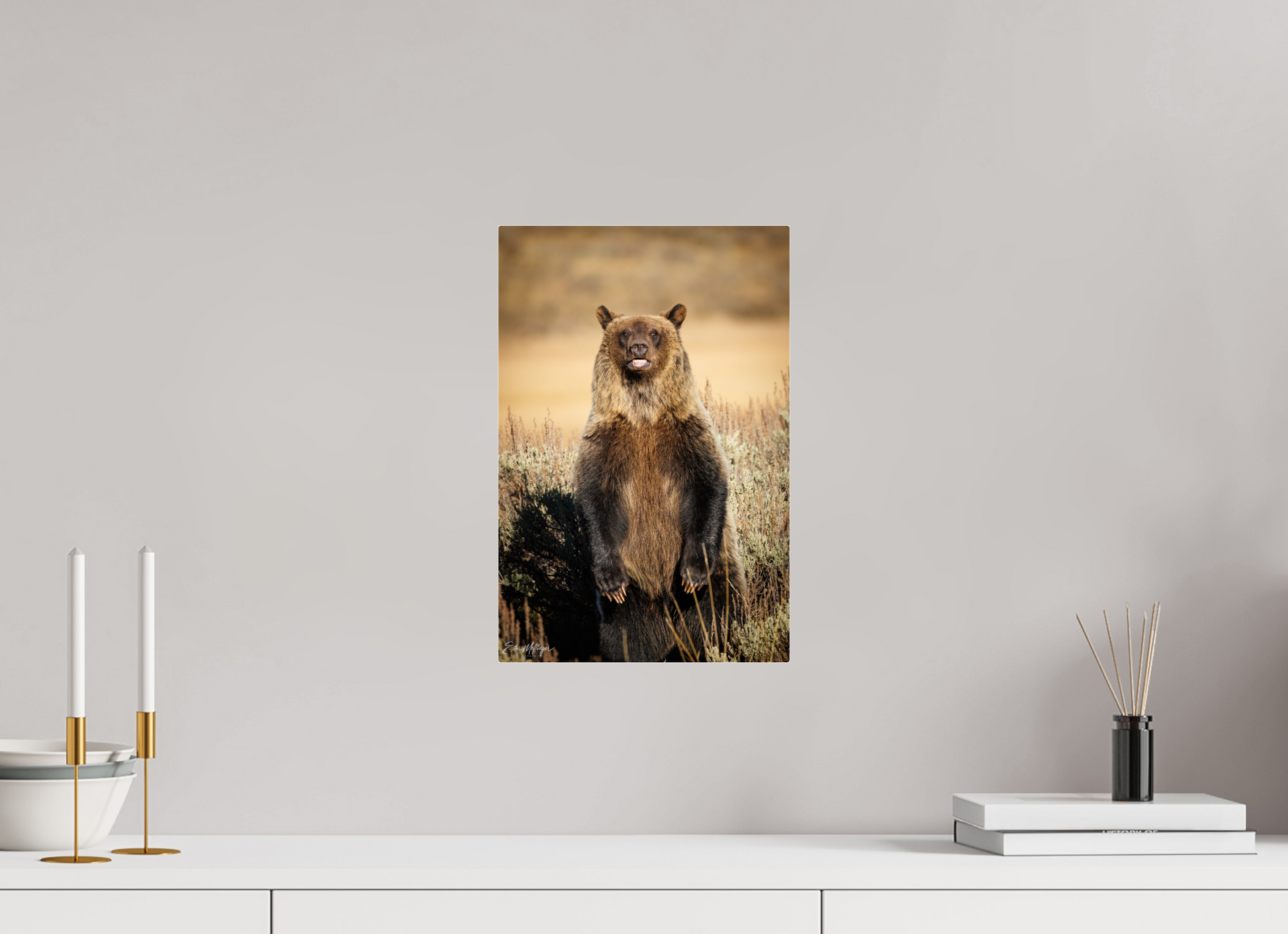 10 x 15″, Acrylic "Grin & Grizzly" - Grizzly Bear