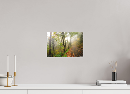 12 x 8″, Canvas "When the Fog Lingers"