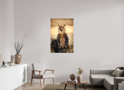 30 x 45″, Canvas "Grin & Grizzly" - Grizzly Bear