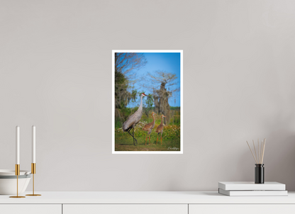 10 x 15″, Fine art print "Wetland Wanderers" - Sandhill Cranes
