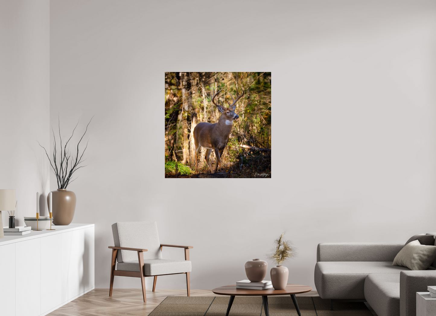 40 x 40″, Acrylic "King of the Timberline" - White-tailed Buck