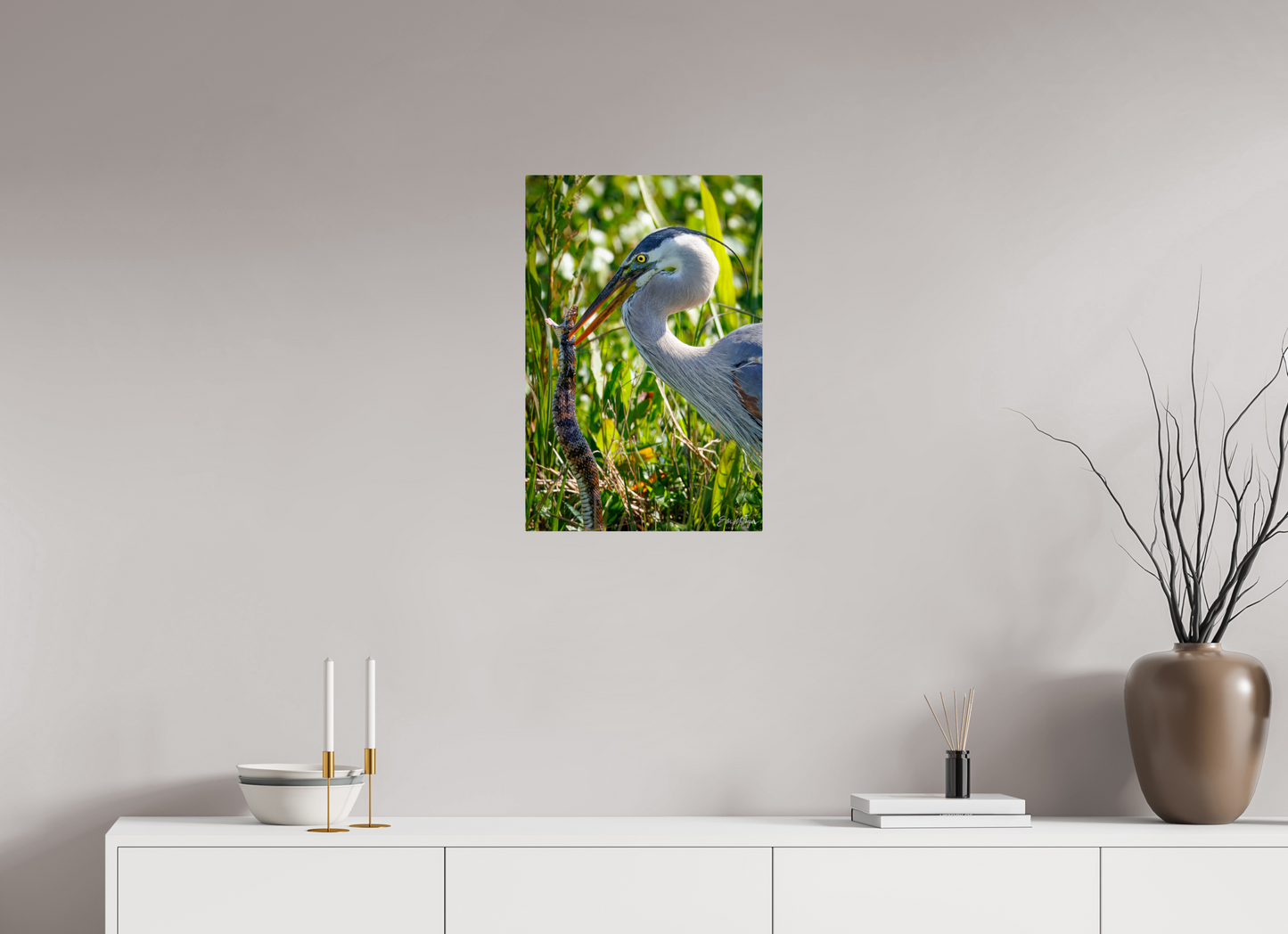16 x 24″, Metal "The Hunt in the Marsh" - Great Blue Heron