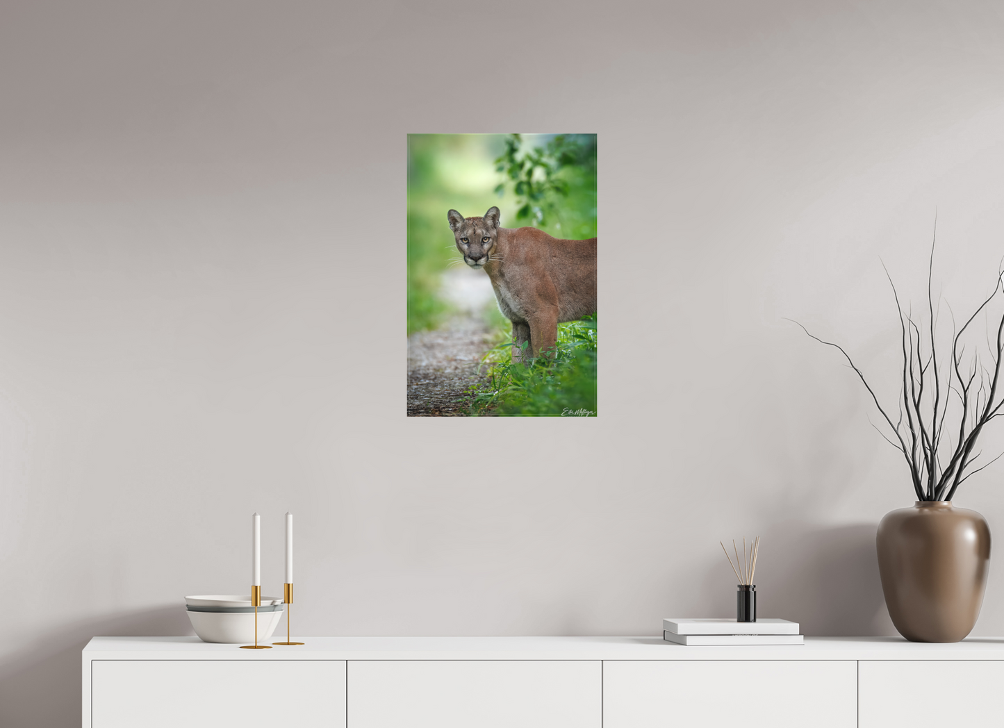 16 x 24″, Canvas "Ghost of the Green Forest" - Florida Panther, vertical