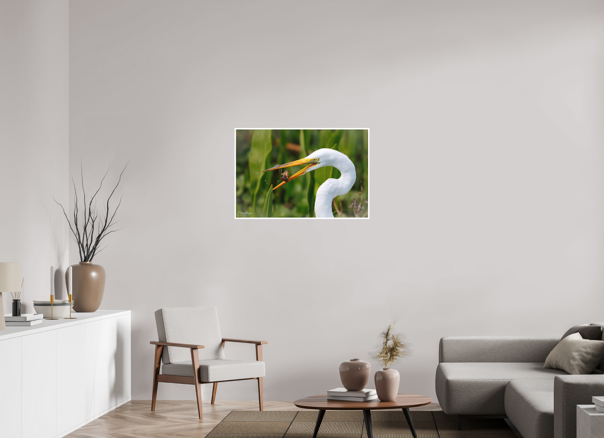 36 x 24″, Fine art print "Marsh Hunter" - Great Egret