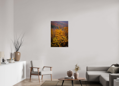 24 x 36″, Metal "Autumn Blaze" - Smoky Mountain Ridge