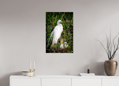 Great egret with chicks
