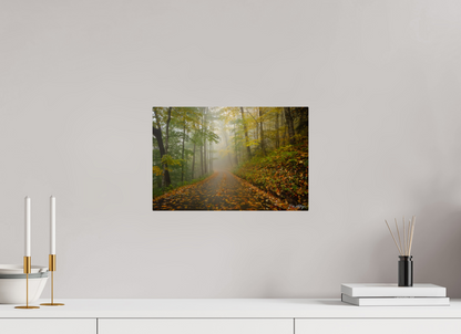 15 x 10″, Metal "The Way Through the Mist"