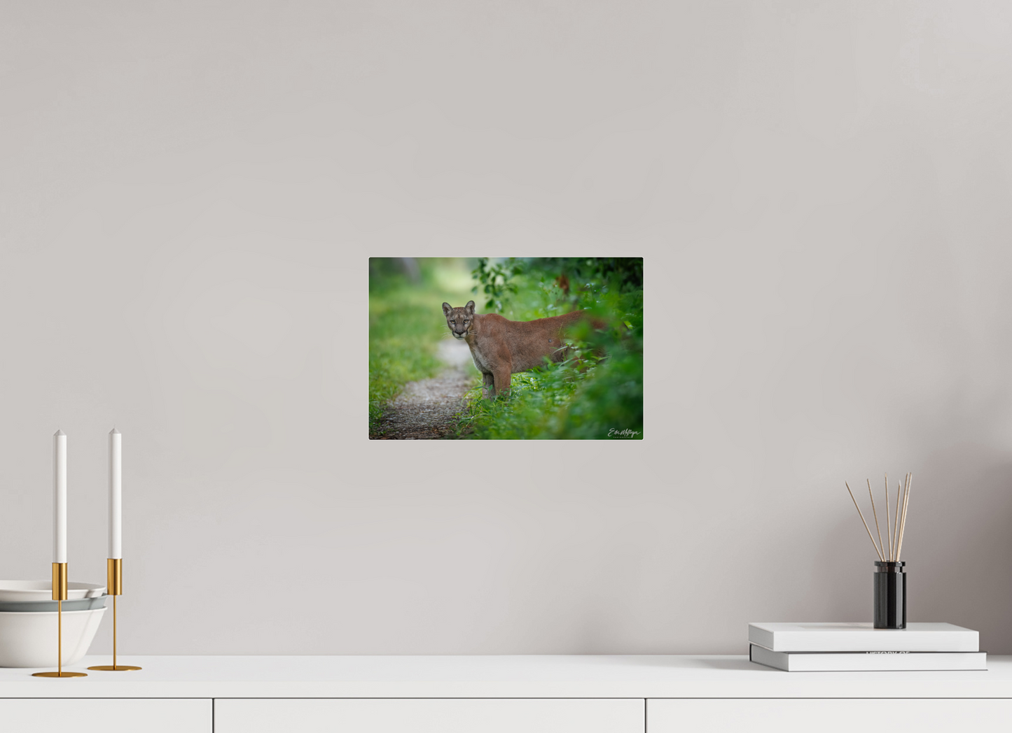 12 x 8″, Acrylic Ghost of the Green Forest - Florida Panther