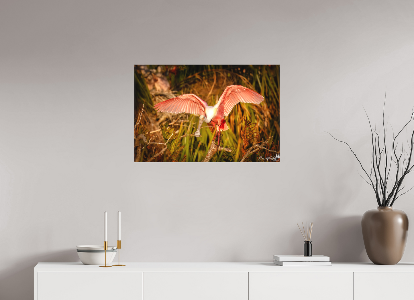 Sunset spoonbill