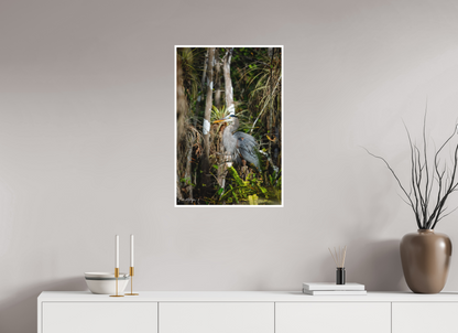 20 x 30″, Fine art print "Swamp Sentinel" - Great Blue Heron