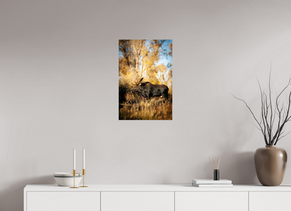 16 x 24″, Metal "Monarch of Gros Ventre - Stillness" - Bull Moose