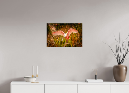 24 x 16″, Acrylic "Golden Builder" - Roseate Spoonbill