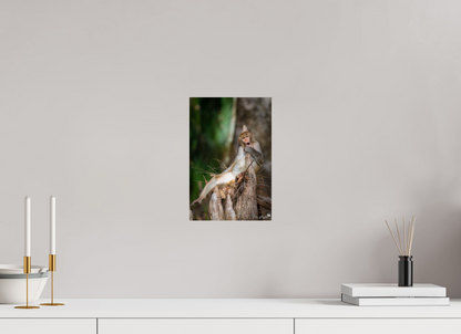 Singing monkey