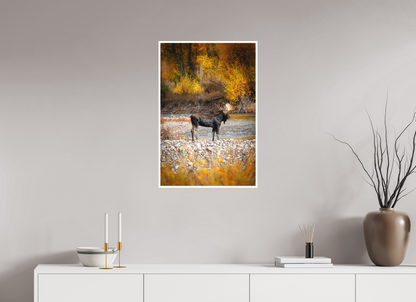 20 x 30″, Fine art print "King of the Colors" - Bull Elk, Gros Ventre River