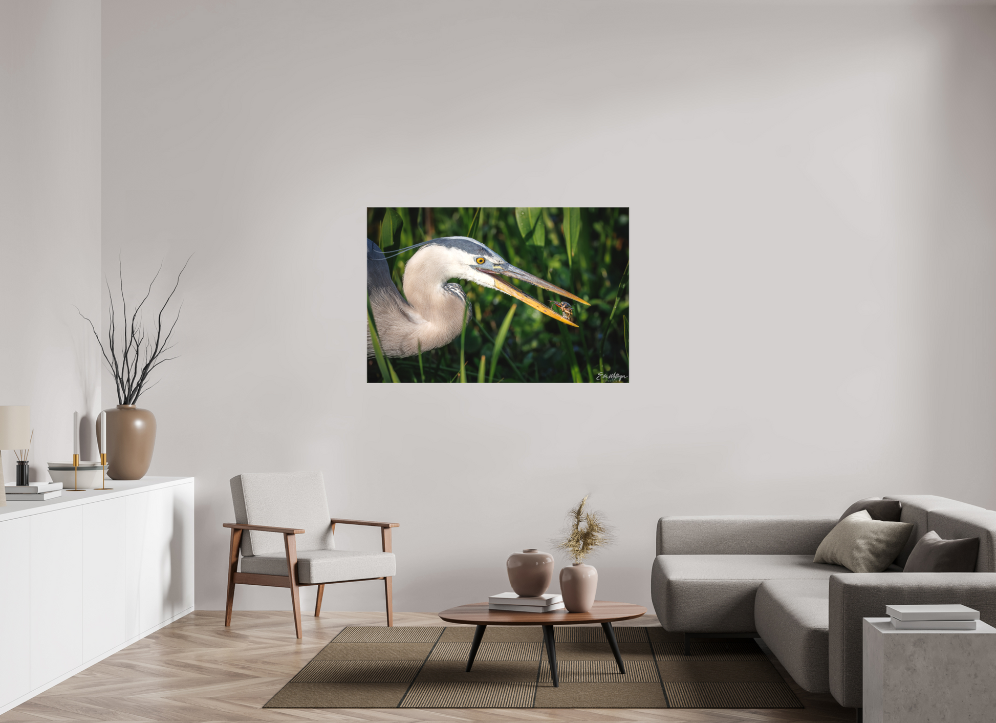 54 x 36″, Canvas "The Catch" - Great Blue Heron