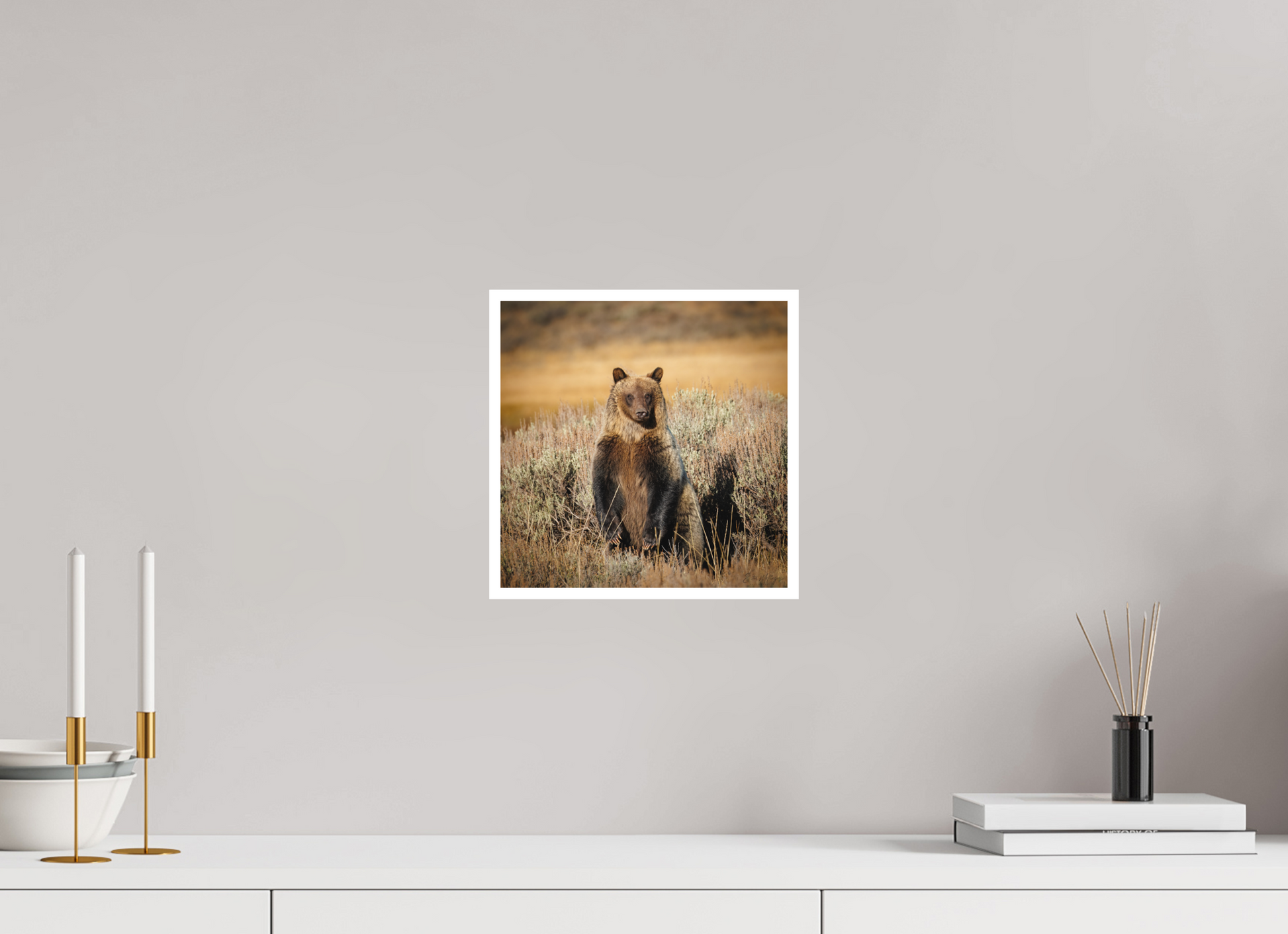 10 x 10″, Fine art print "Standing Tall" - Grizzly Bear