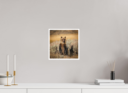 10 x 10″, Fine art print "Standing Tall" - Grizzly Bear