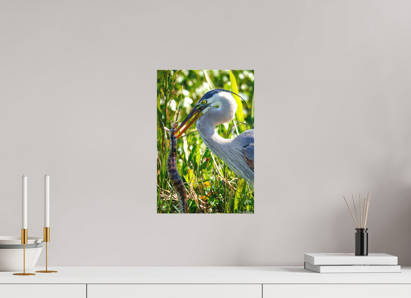 10 x 15″, Canvas "The Hunt in the Marsh" - Great Blue Heron