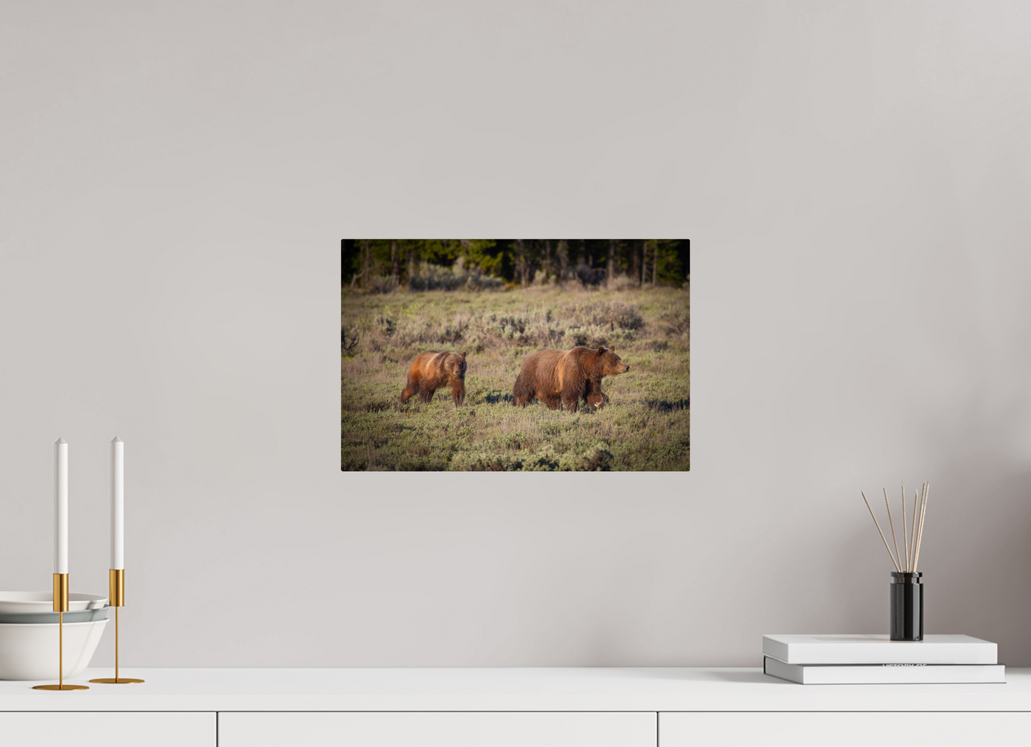 15 x 10″, Metal "Grizzly 399 & Spirit - Walking the Tetons"