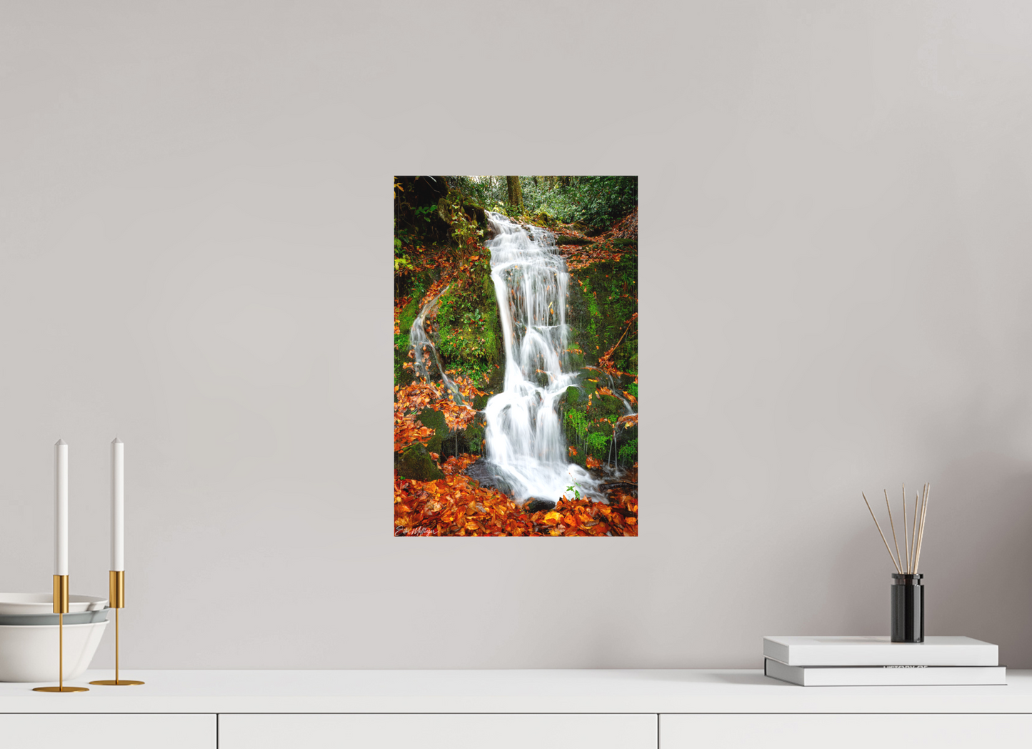 10 x 15″, Canvas "Where the Forest Flows"