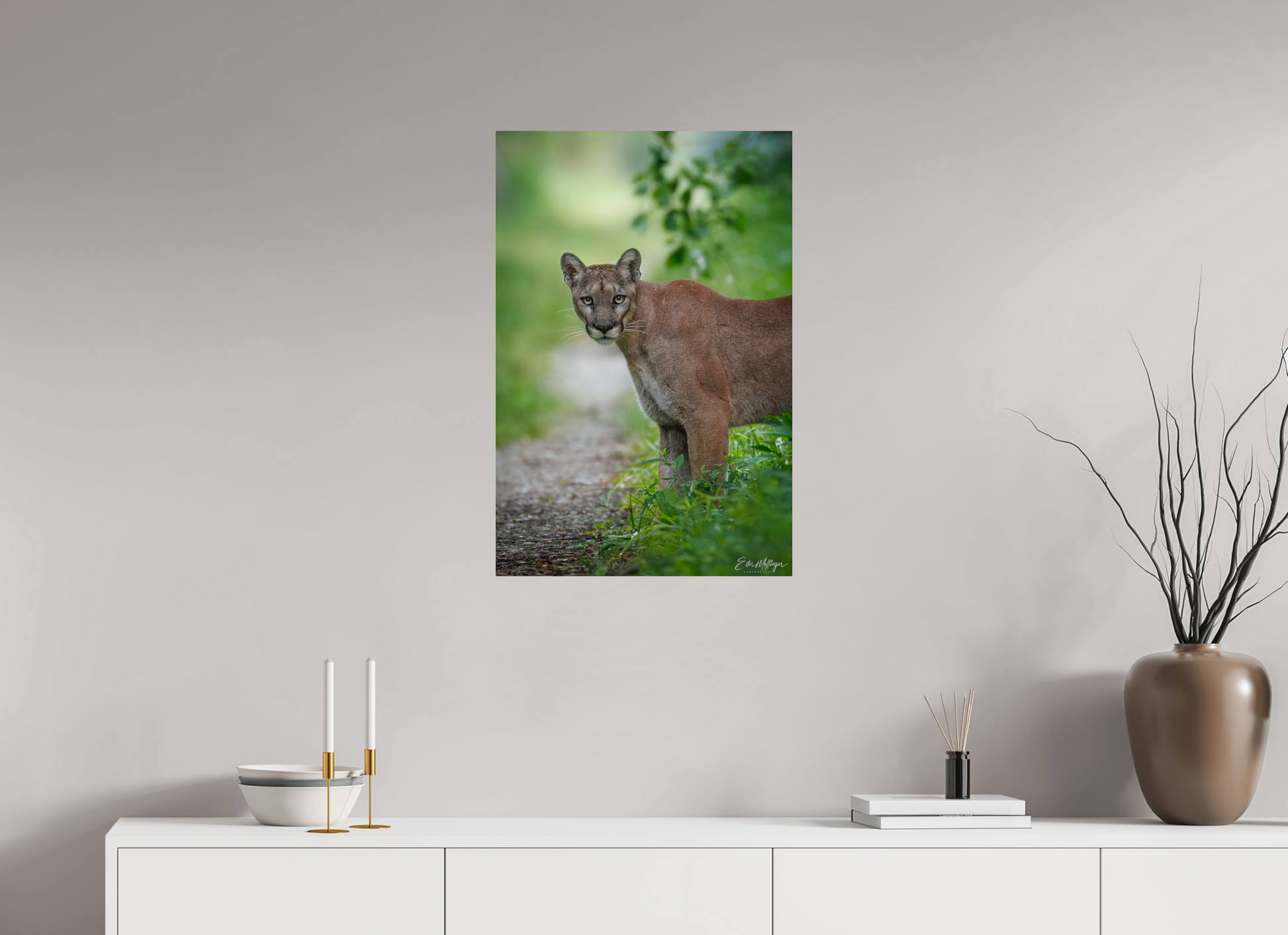 20 x 30″, Metal "Ghost of the Green Forest" - Florida Panther, vertical
