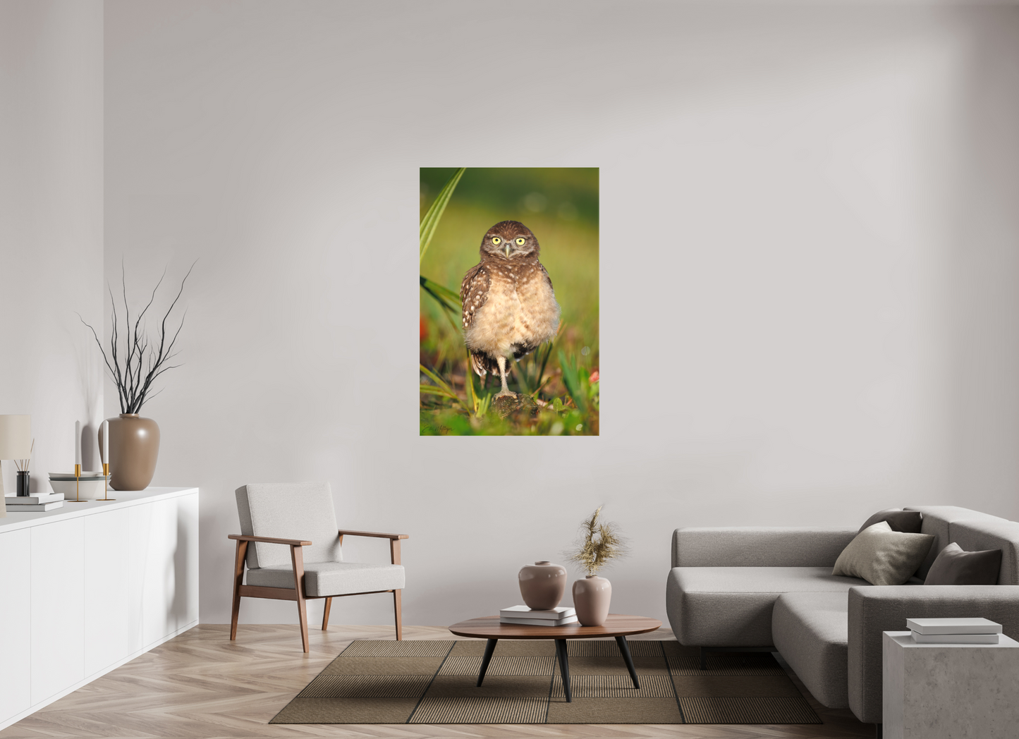 36 x 54″, Canvas "Little Lookout" - Burrowing owlet