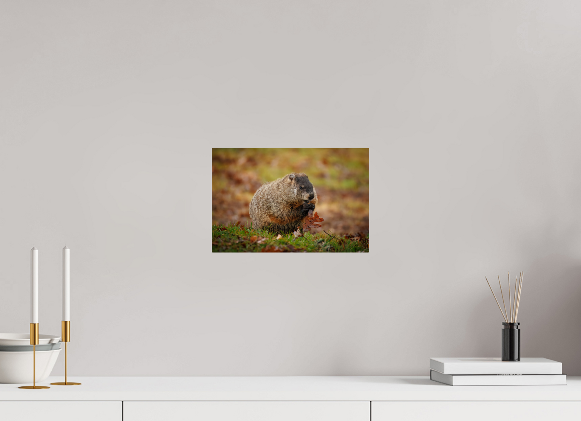 12 x 8″, Metal "The Little Forager"