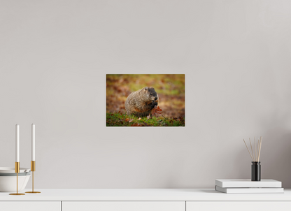 12 x 8″, Metal "The Little Forager"