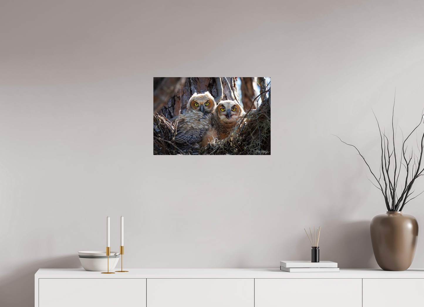 24 x 16″, Metal "Hidden in the Pines" - Great Horned Owlets