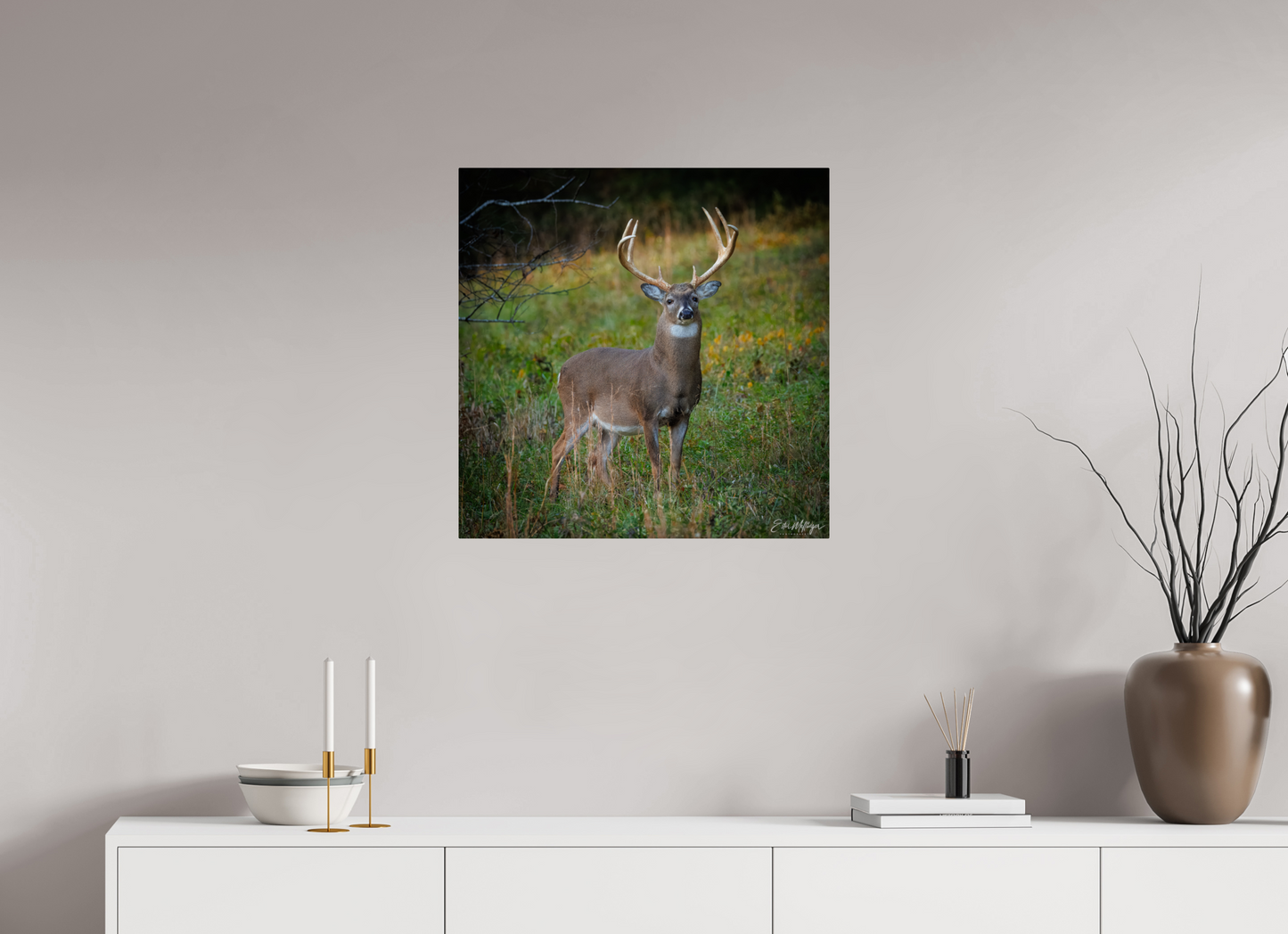 25 x 25″, Metal "Majesty of the cove" - White-tailed Buck