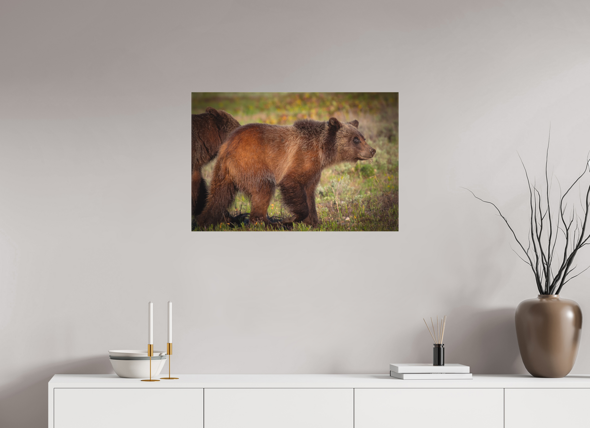30 x 20″, Canvas "Sage Wander" - Grizzly bear