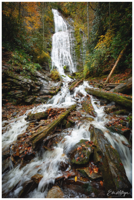 Main image "Whispers of the Forest" - Mingo Falls