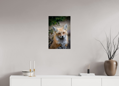 16 x 24″, Metal "Quiet Mind" - Red Fox