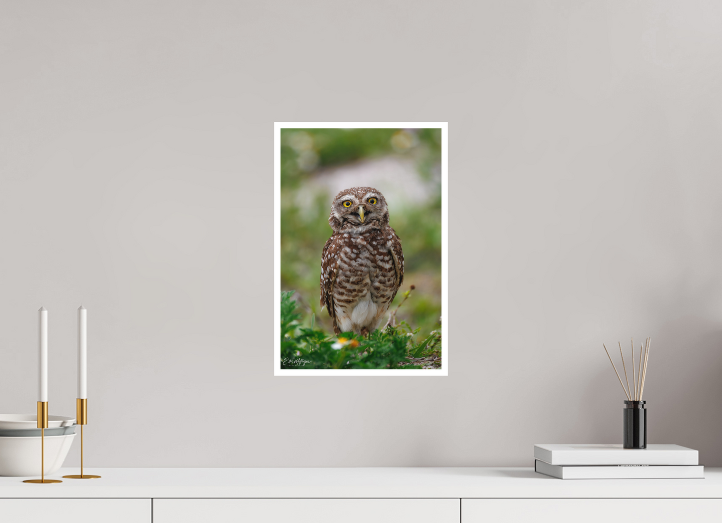 10 x 15″, Fine art print "Wide-Eyed Wonder" - Burrowing Owl