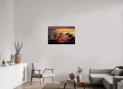 36 x 24″, Acrylic "Fire in the Pines" - Big Cypress Sunset