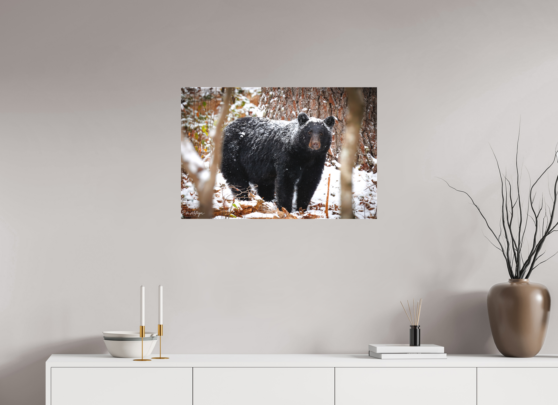 30 x 20″, Canvas "Winter Watcher" - Black Bear