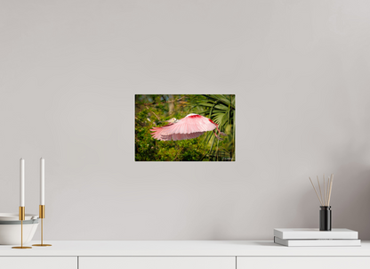 12 x 8″, Acrylic "Pink Passage" - Roseate Spoonbill