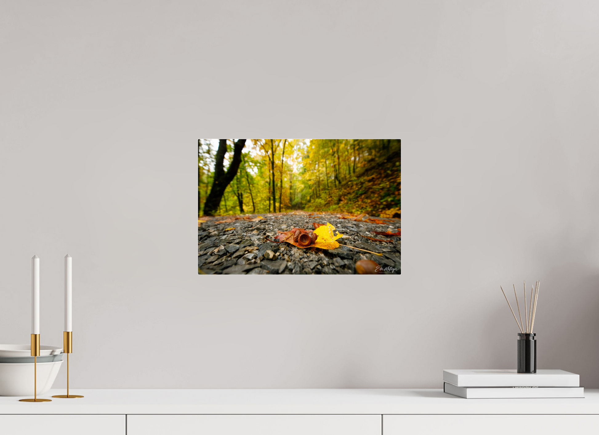 15 x 10″, Acrylic "The Long Way Home" - Cades Cove