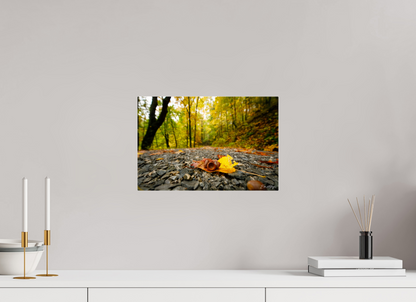 15 x 10″, Acrylic "The Long Way Home" - Cades Cove