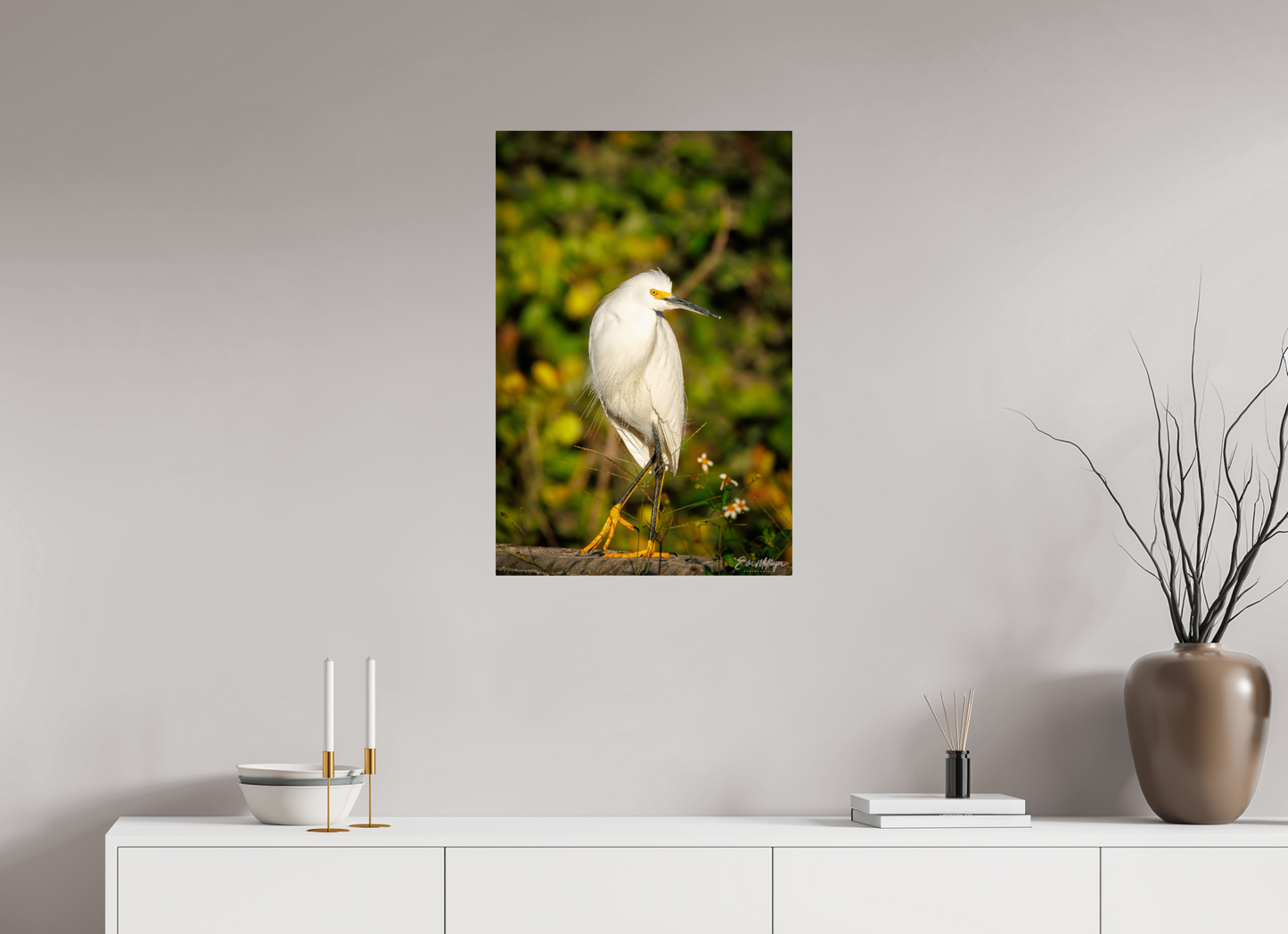 20 x 30″, Metal "Golden Light, White Silence" - Great Egret