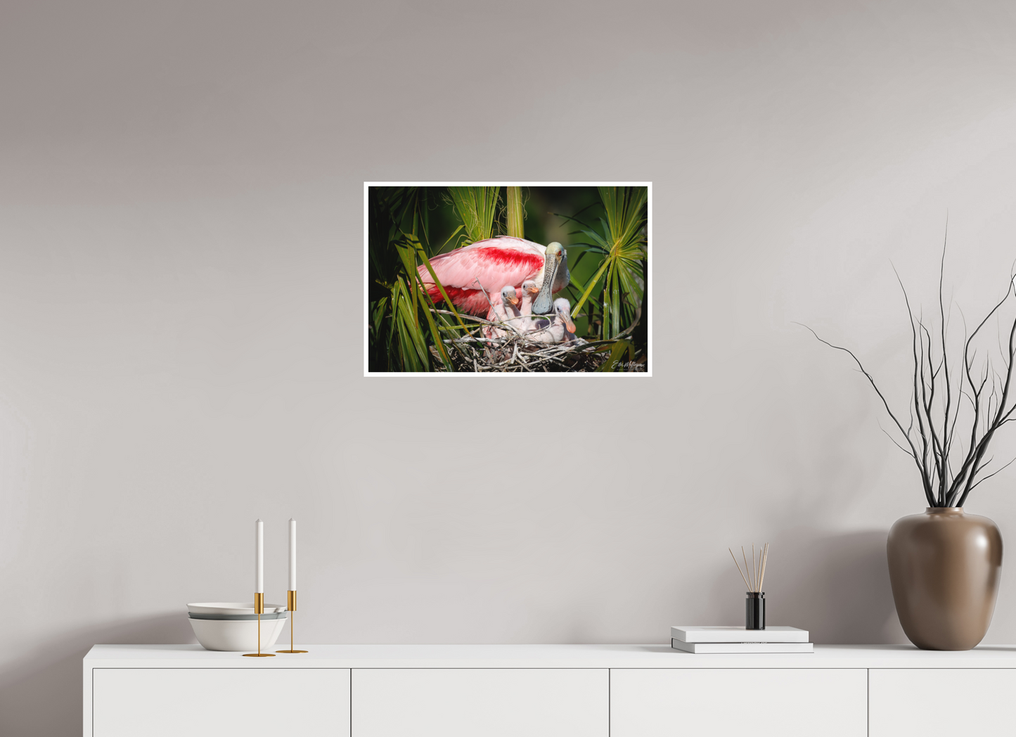 24 x 16″, Fine art print "The Nest Above" - Spoonbills