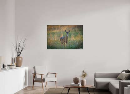 45 x 30″, Canvas "Grace in the Meadow" - White-tailed Doe