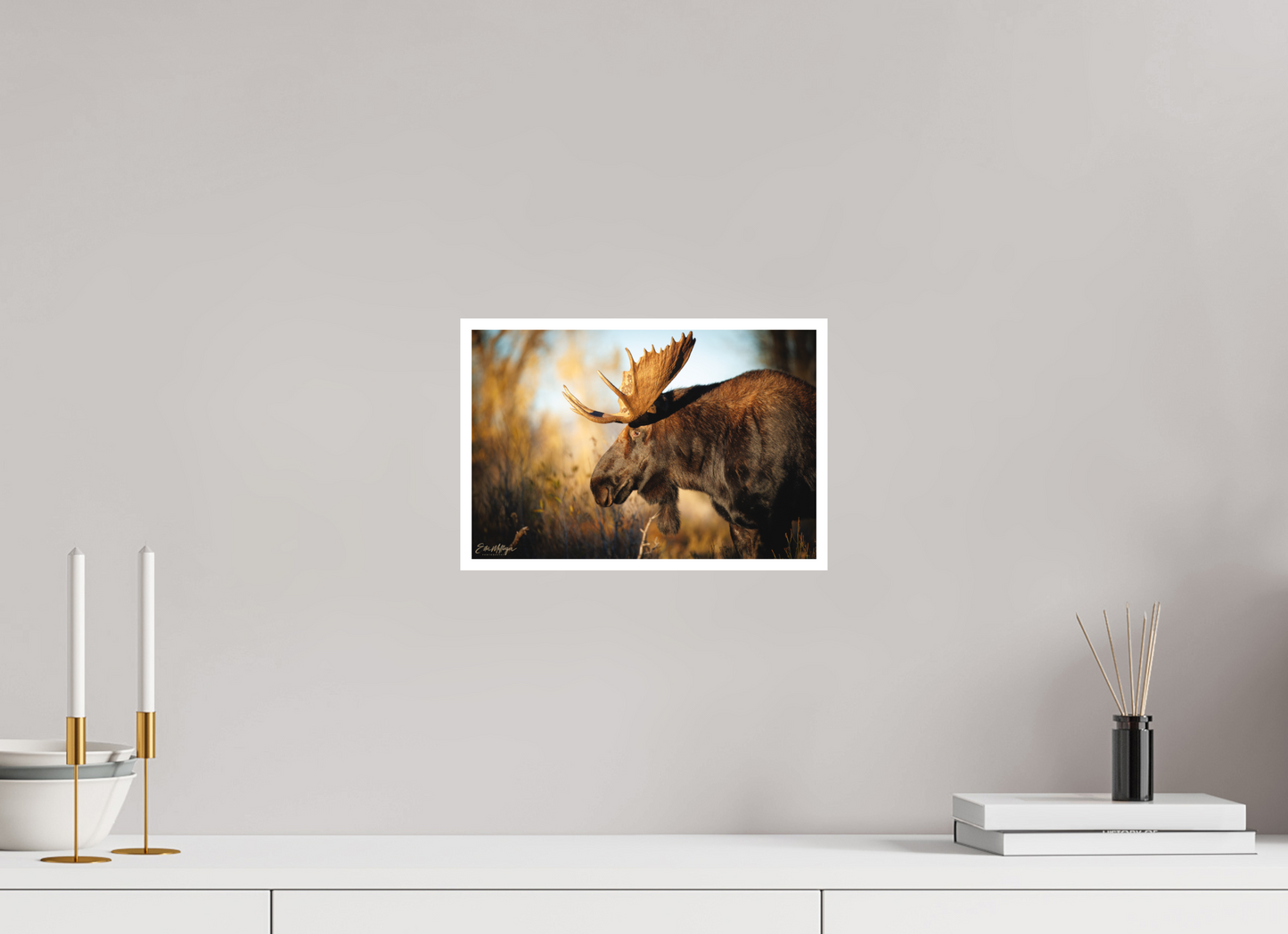12 x 8″, Fine art print "Monarch of Gros Ventre - In His Eyes"
