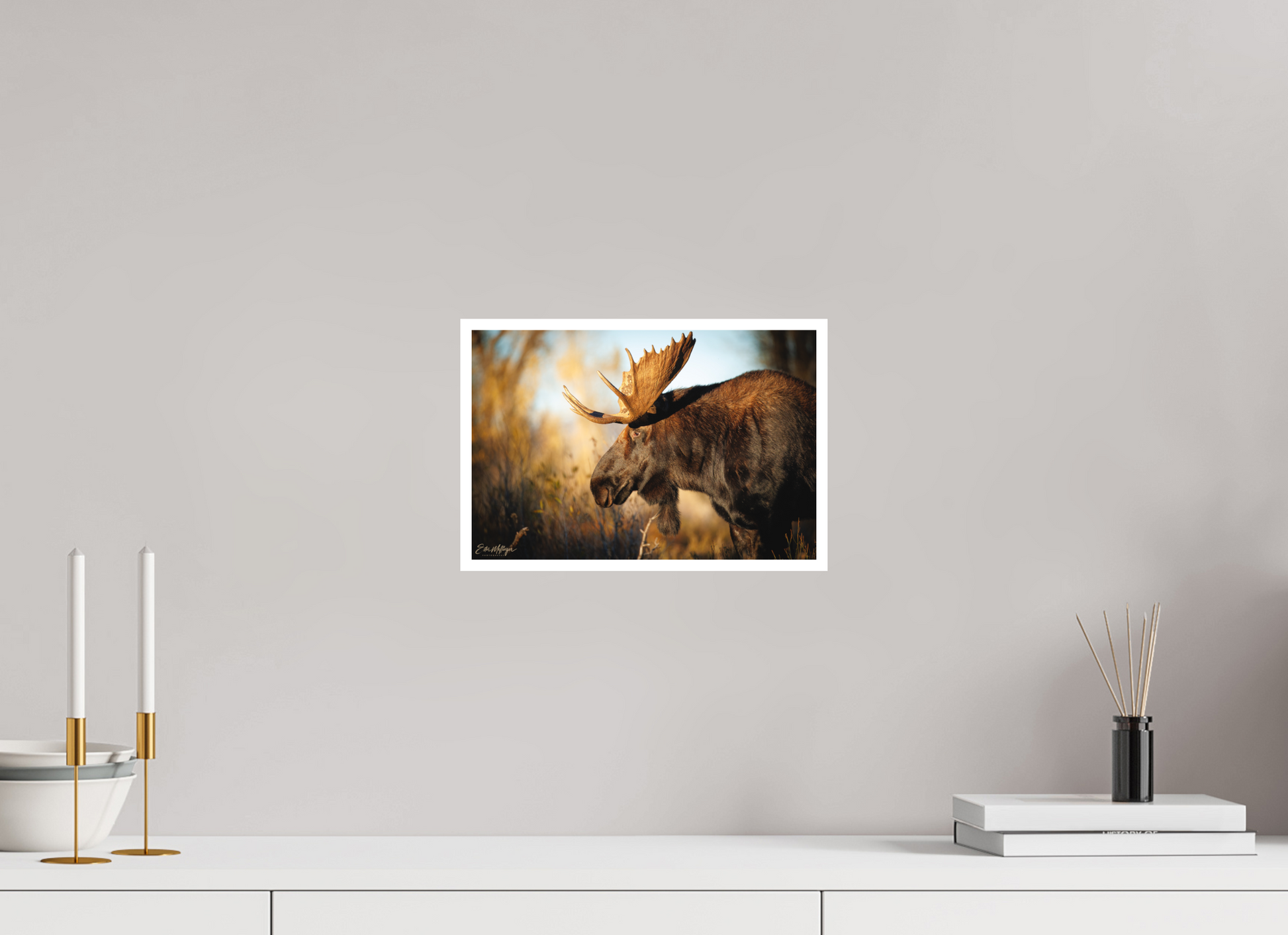 12 x 8″, Fine art print "Monarch of Gros Ventre - In His Eyes"