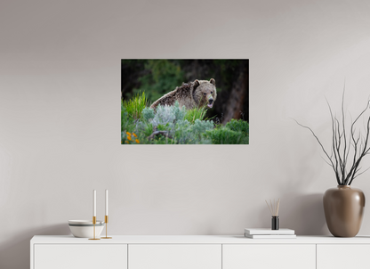 30 x 20″, Acrylic "Gentle Yawn" - Grizzly Bear
