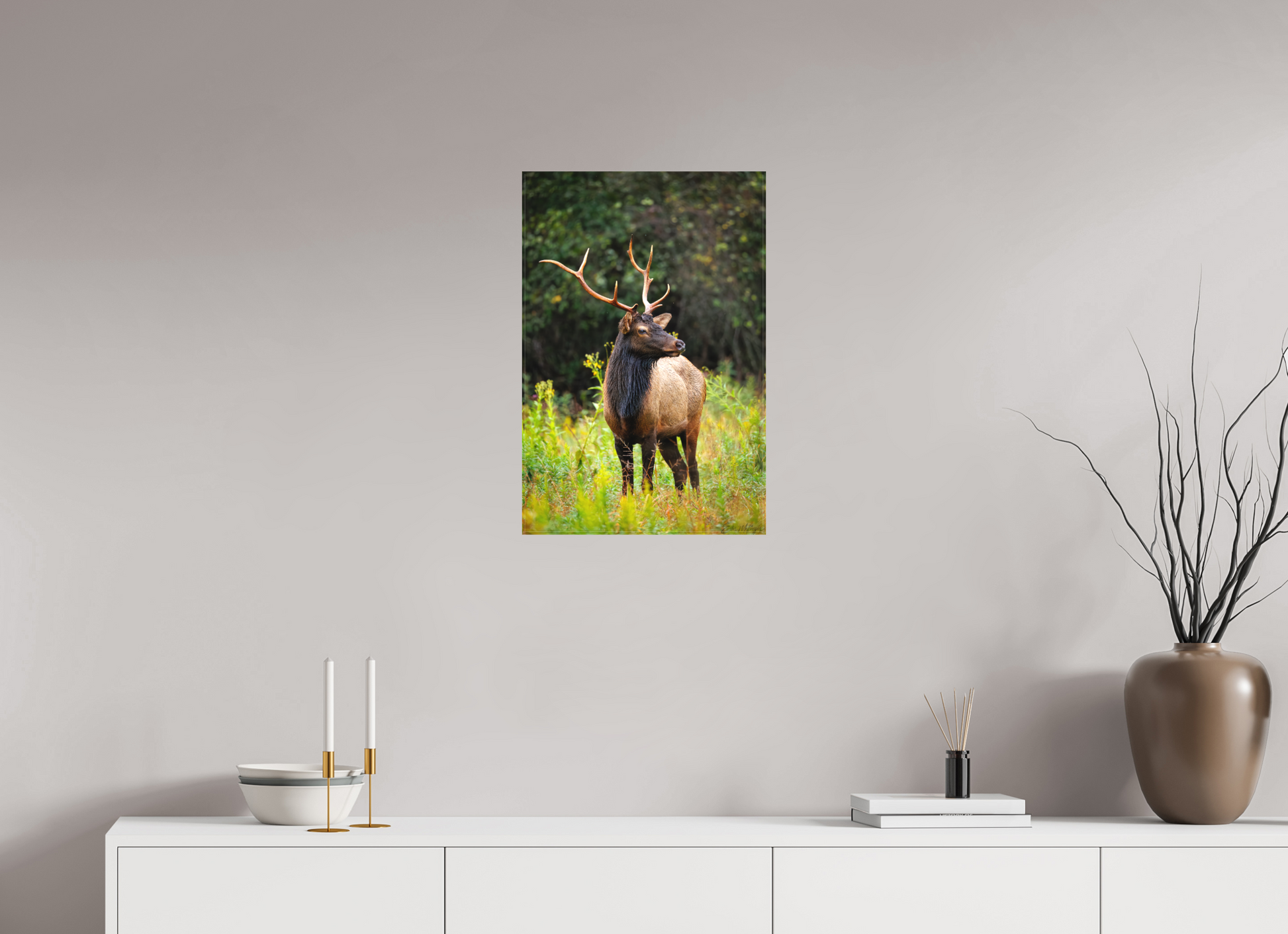 16 x 24″, Canvas "The Watchful King" - Elk
