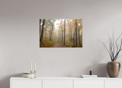 30 x 20″, Canvas "Where the Road Disappears" - Smoky Mountains