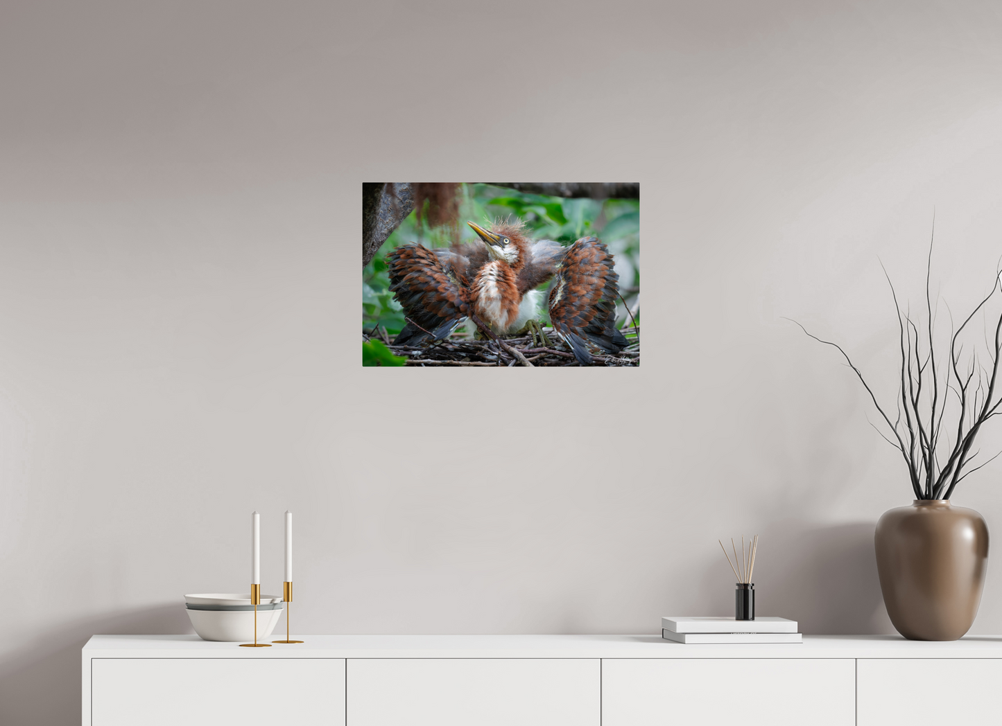 24 x 16″, Metal "Finding My Wings" - Tricolored Heron